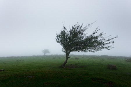 Sturm und Wind